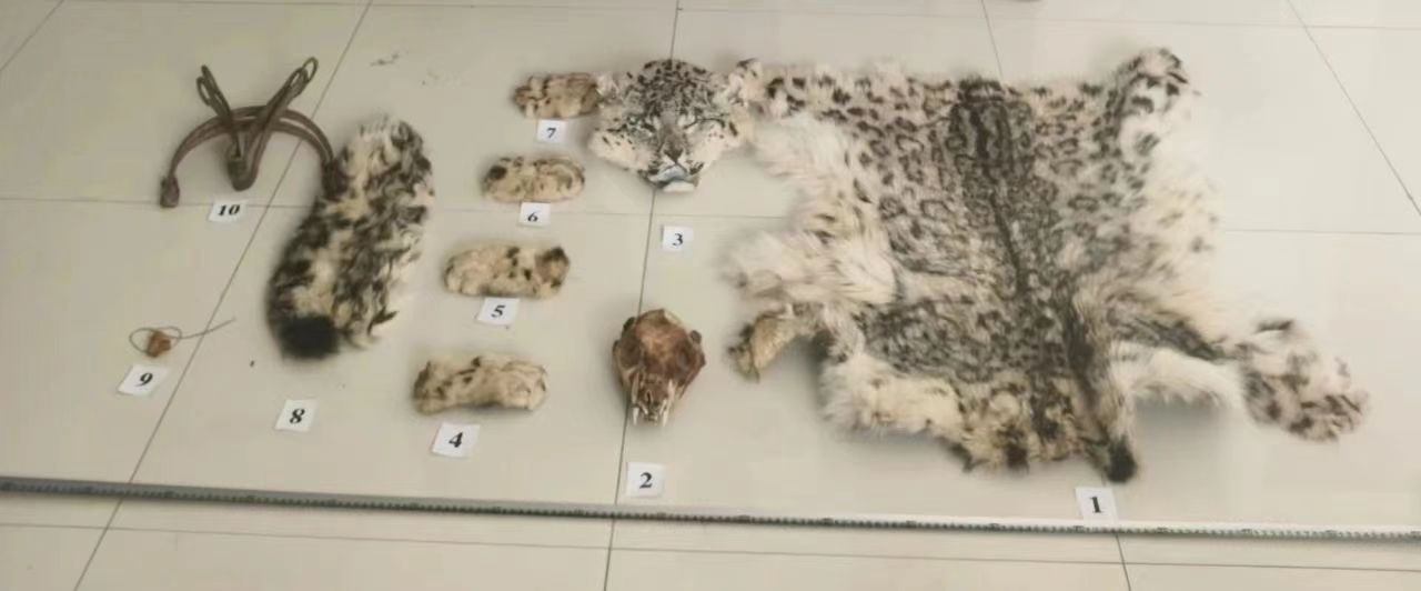 1708679951591024.jpg 微信图片_20240223170029.jpg