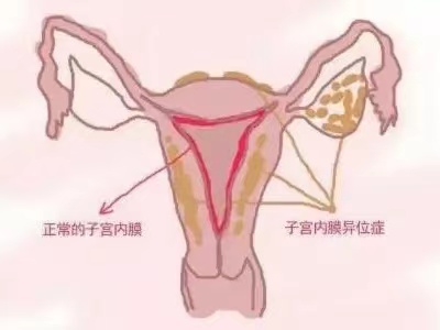 1713859965373740.jpg 微信图片_20240423094545.jpg