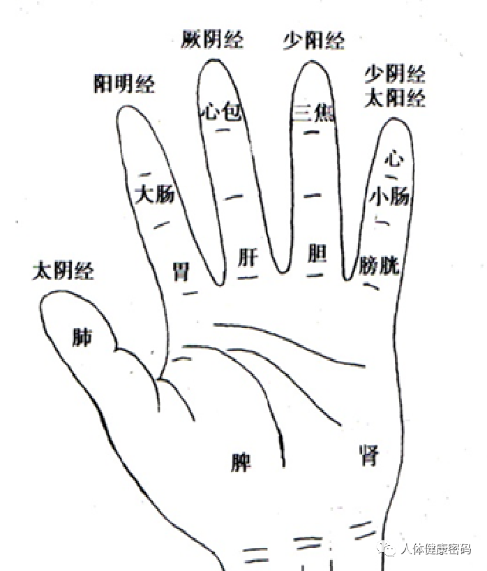 微信图片_20240925151651.png