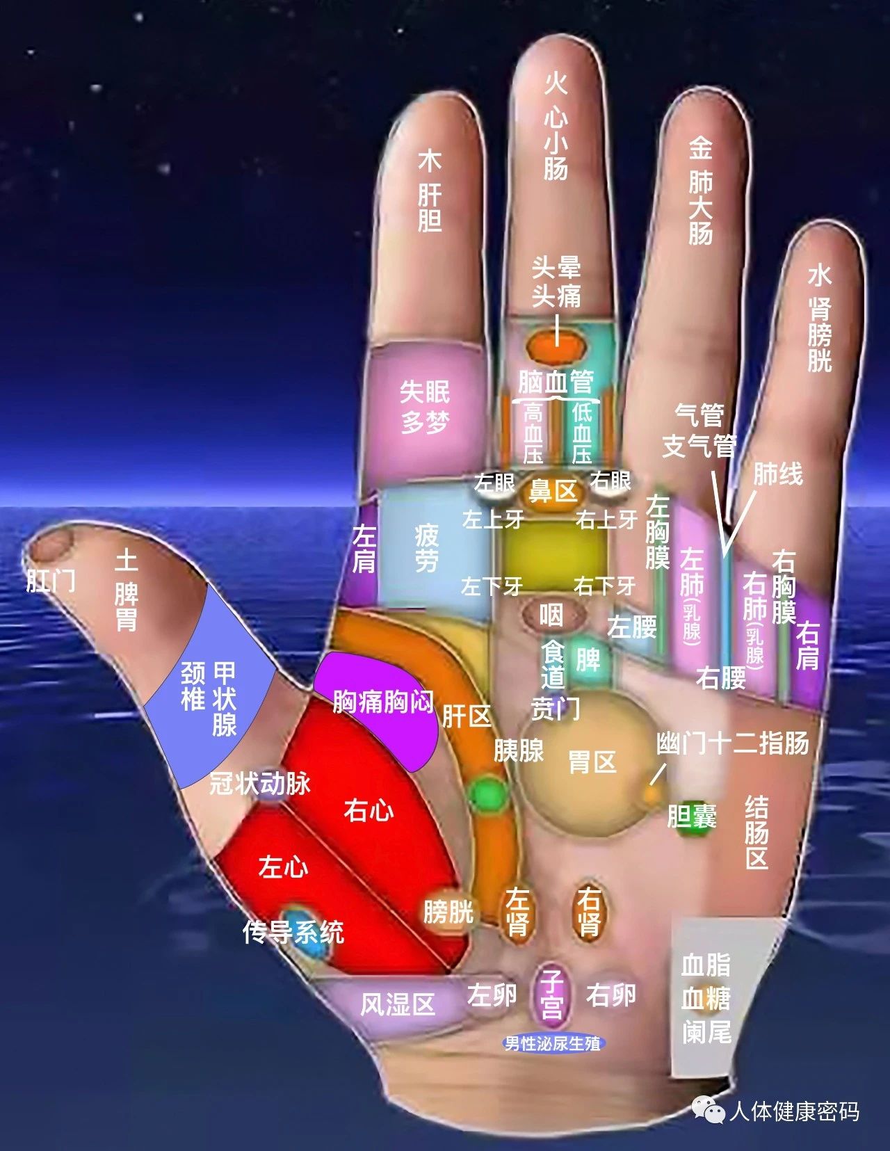 微信图片_20240925151705.jpg