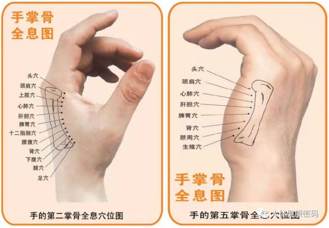 微信图片_20240925151717.png