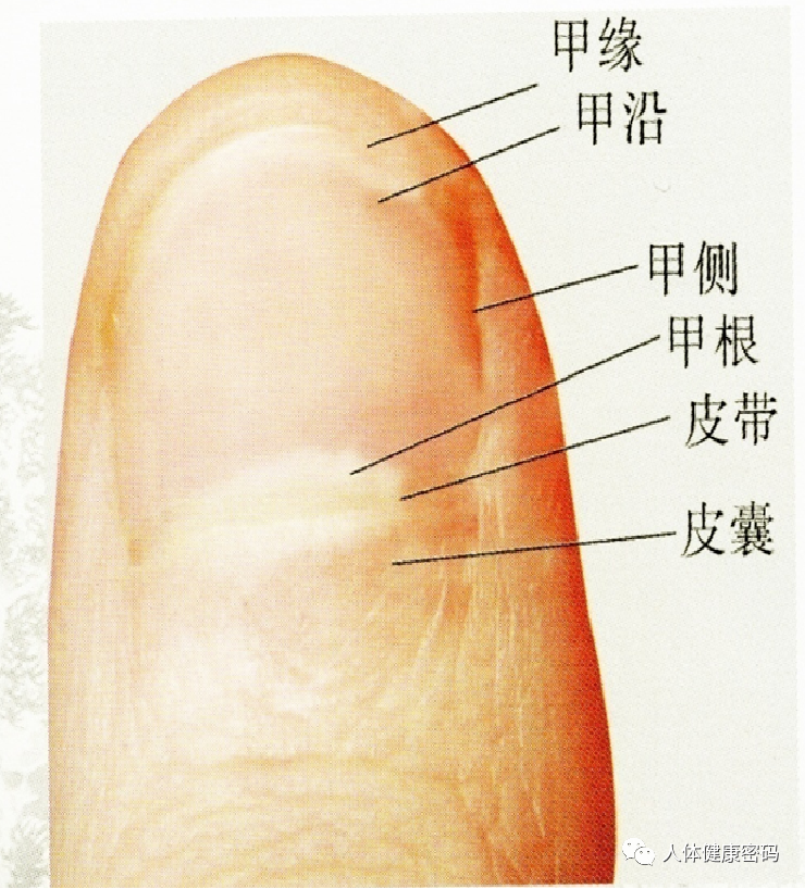 微信图片_20240925151727.png