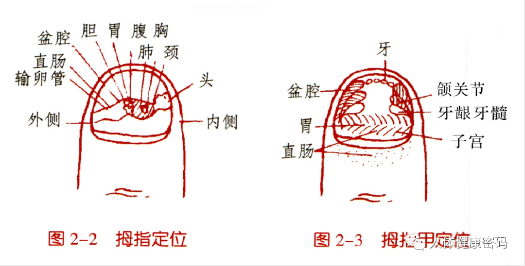 微信图片_20240925151730.png