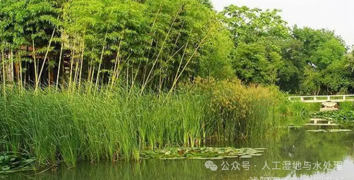 1729498946430809.png 微信图片_20241021162137.png