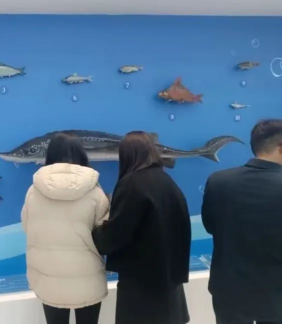 微信图片_20250403095826.jpg