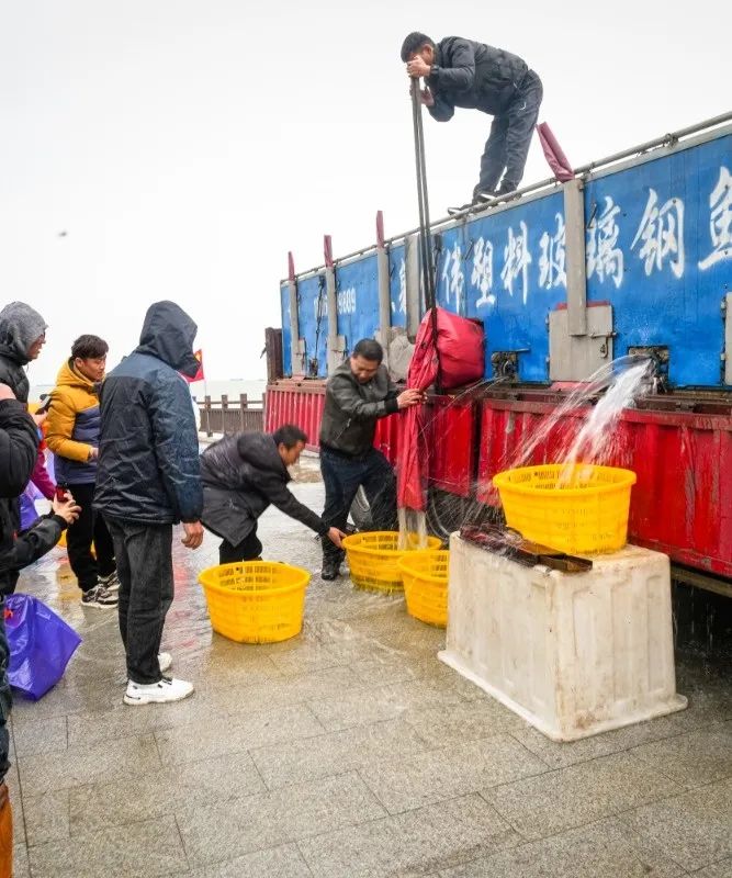 微信图片_20250403095830.jpg
