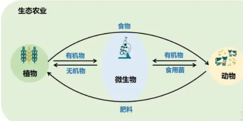 微信图片_20250403144209.png
