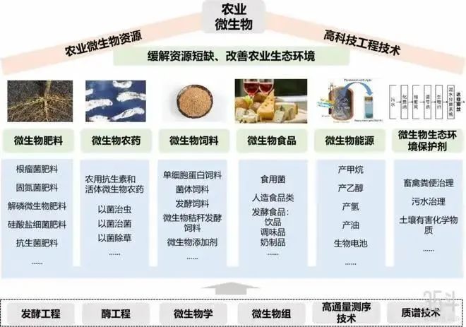 1743662595623007.jpg 微信图片_20250403144212.jpg