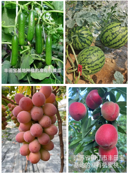 微信图片_20250409081101.png