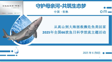 1747017172860016.png 微信图片_20250512103142.png