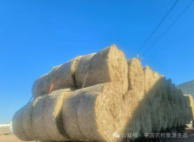 微信图片_20250714092817.png