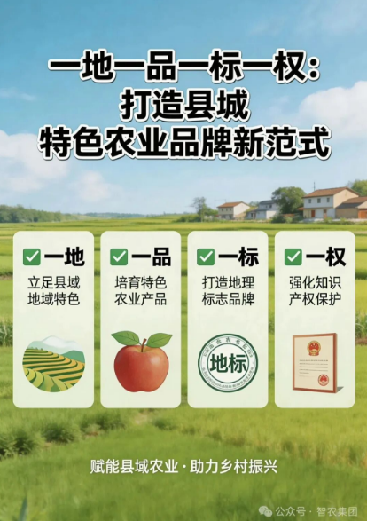 微信图片_20260311144824_246_135.png